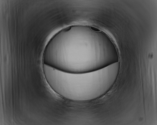 X0000101981344200807180751