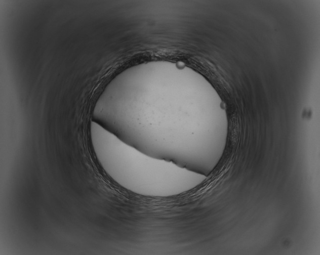 X0000101981345200807180750