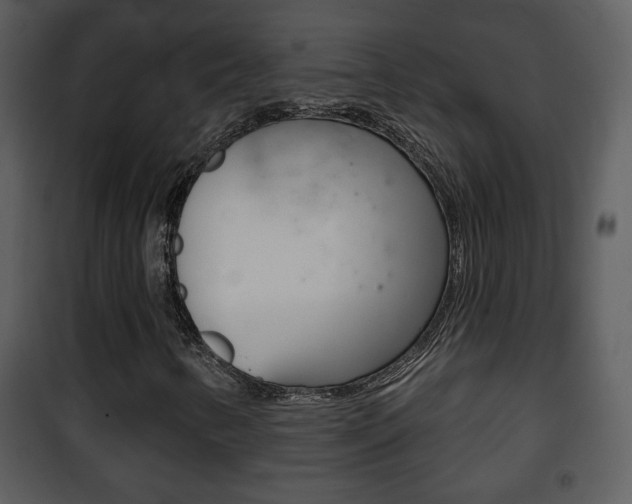 X0000101981346200807180750
