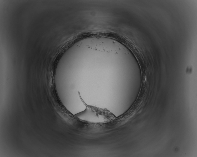 X0000101981348200807180750