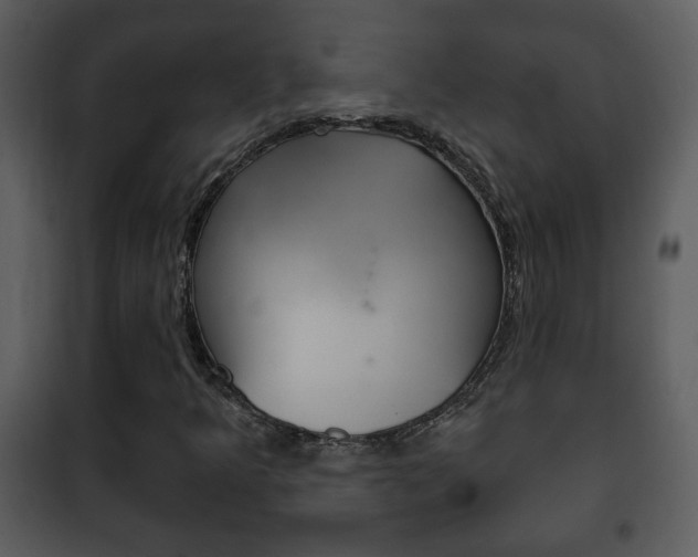 X0000101981349200807180750