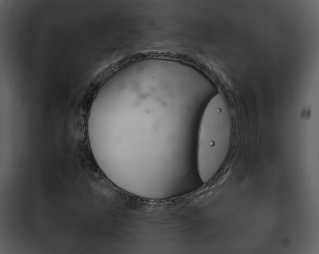 X0000101981350200807180750