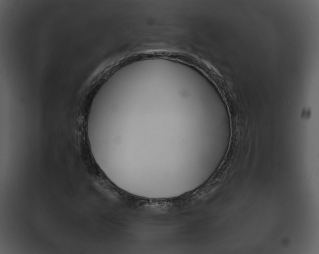 X0000101981351200807180750