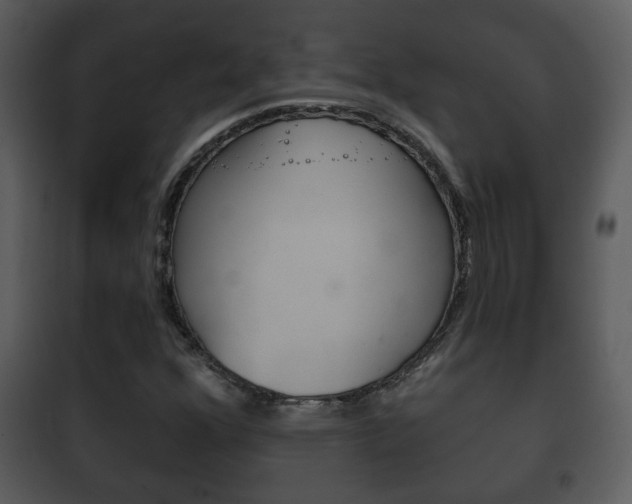 X0000101981352200807180750