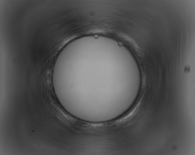X0000101981353200807180750