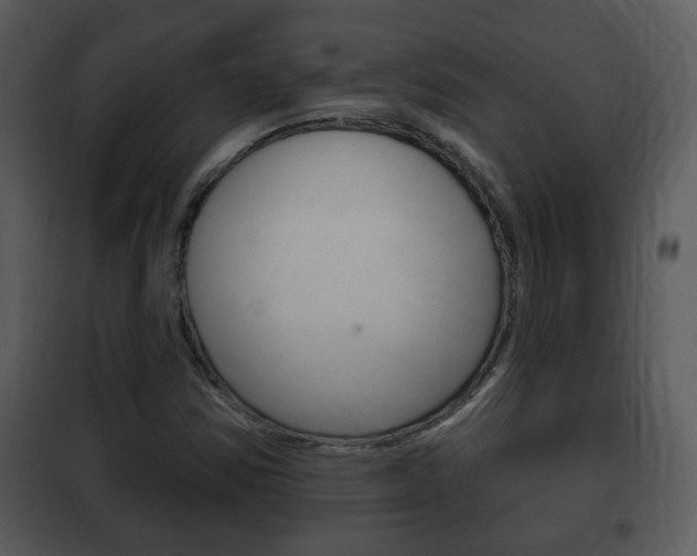 X0000101981354200807180750