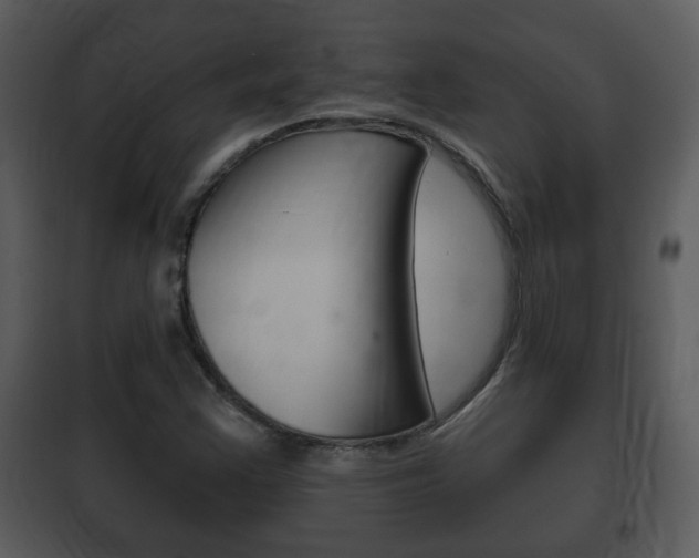X0000101981355200807180750