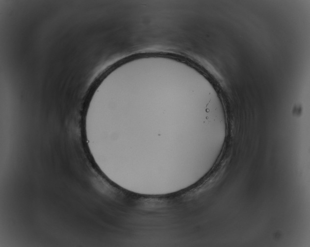 X0000101981356200807180750