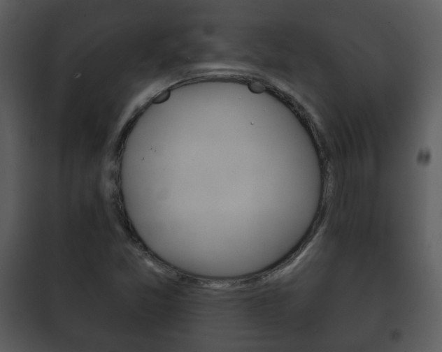 X0000101981357200807180750