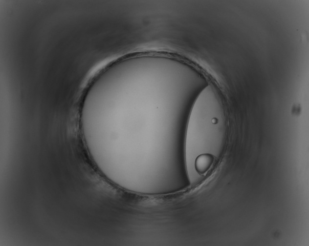 X0000101981358200807180750
