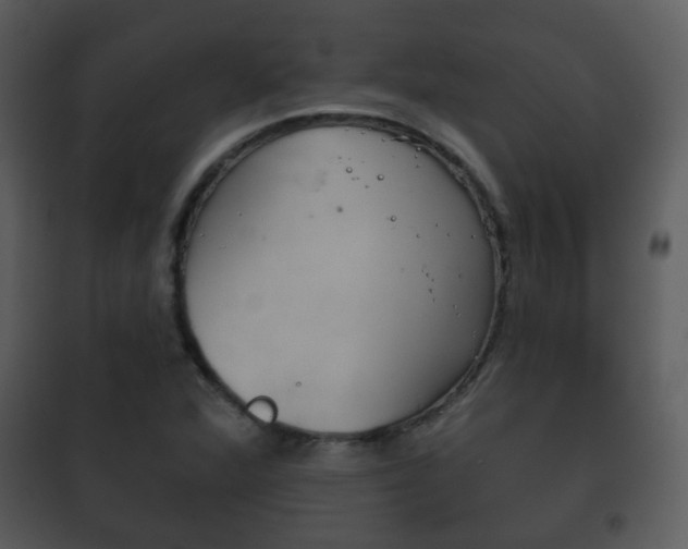 X0000101981360200807180750