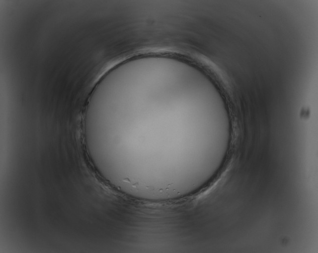 X0000101981361200807180750