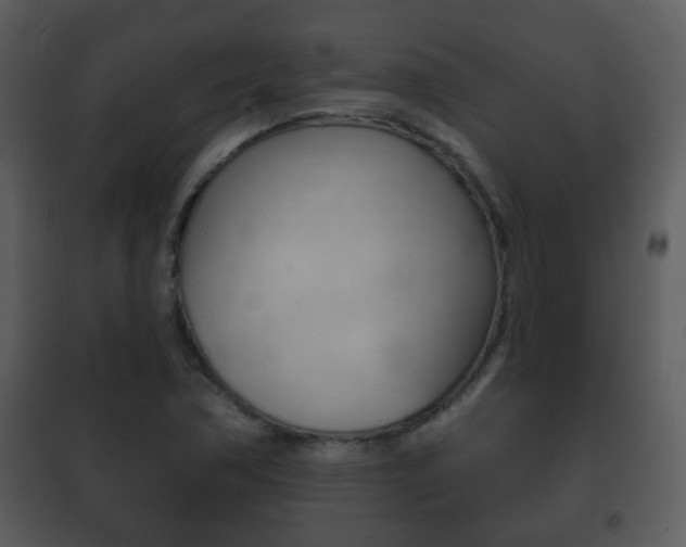 X0000101981362200807180750