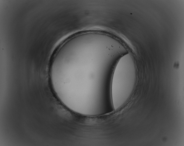 X0000101981364200807180750