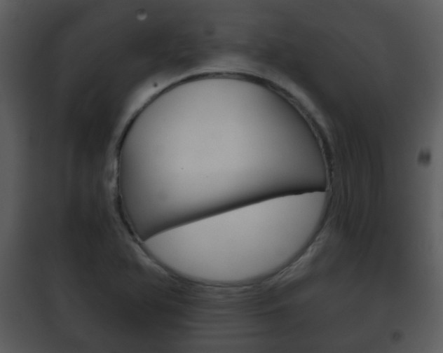 X0000101981366200807180750