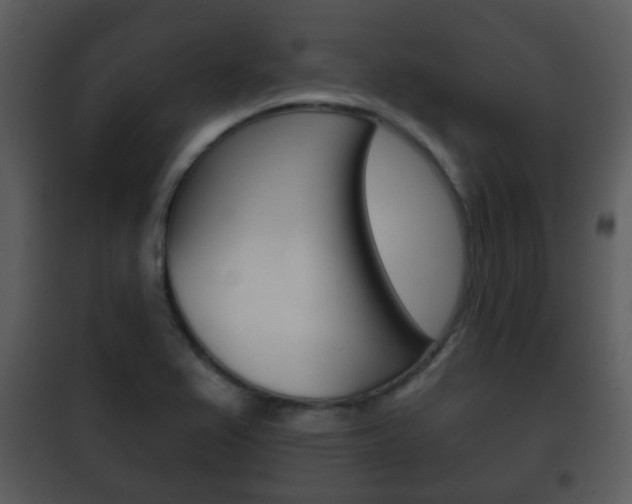 X0000101981367200807180750