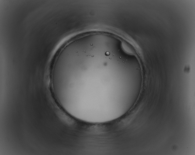 X0000101981368200807180750