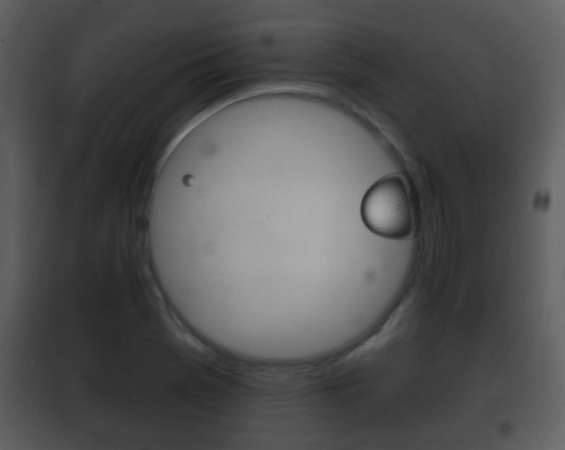 X0000101981369200807180750