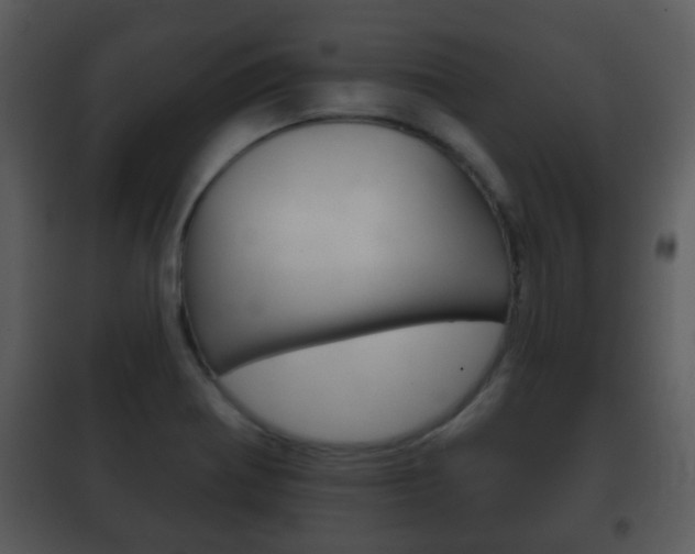 X0000101981370200807180750