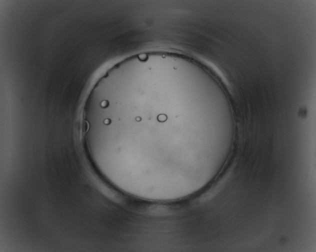 X0000101981371200807180750