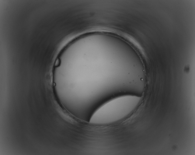 X0000101981372200807180750