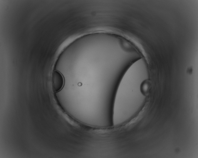 X0000101981373200807180750