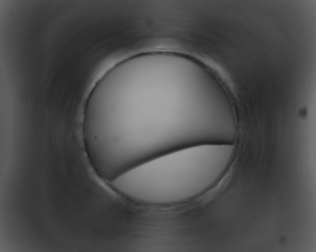 X0000101981374200807180750