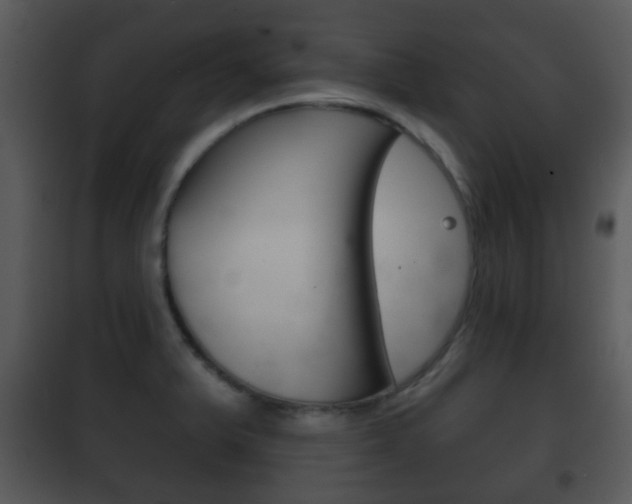 X0000101981375200807180750