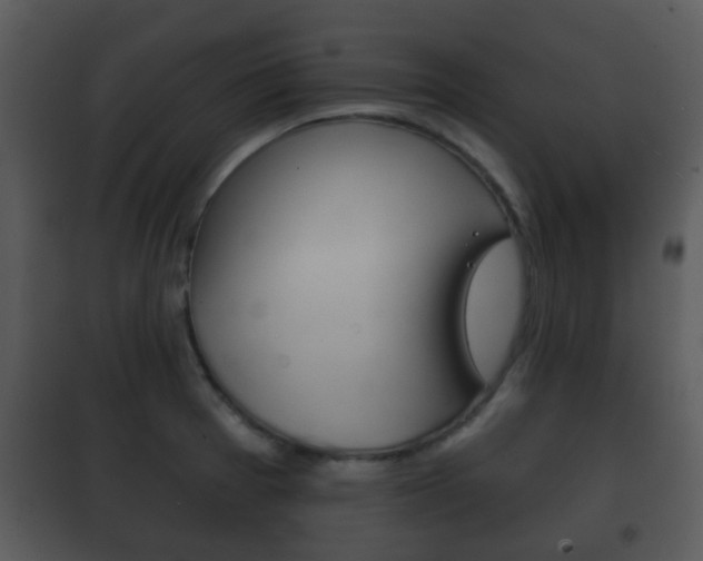 X0000101981377200807180750