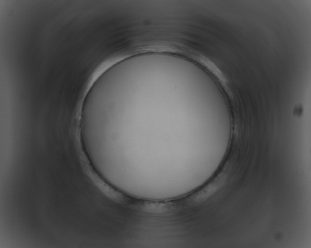X0000101981378200807180750