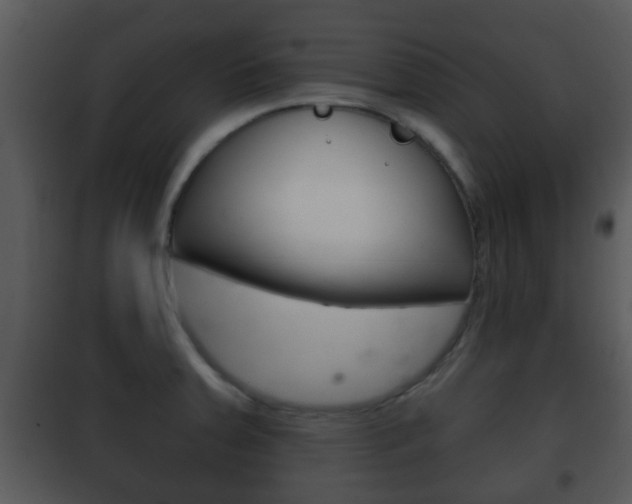 X0000101981379200807180750