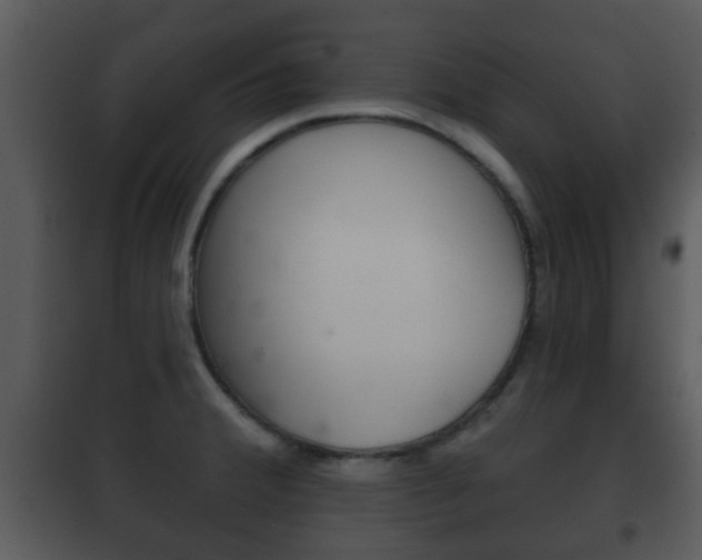 X0000101981380200807180749
