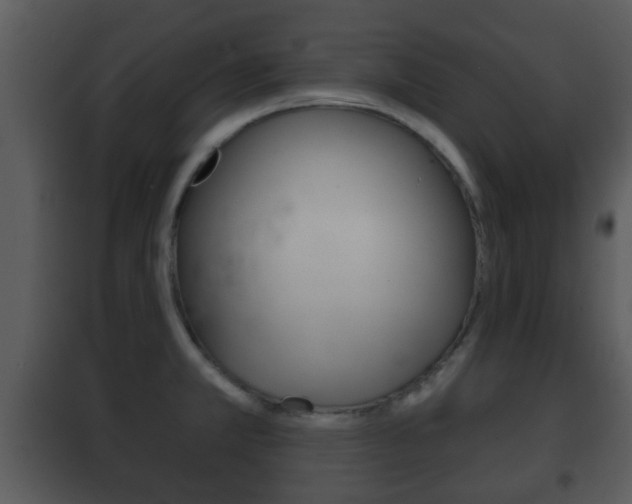 X0000101981381200807180749