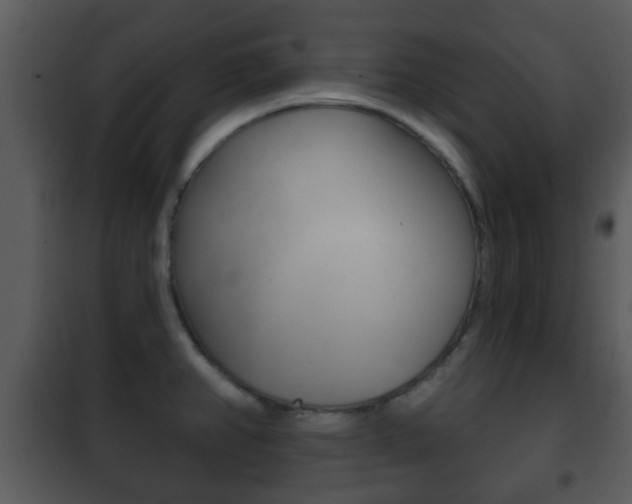 X0000101981382200807180749