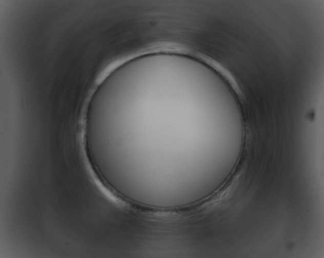 X0000101981383200807180749
