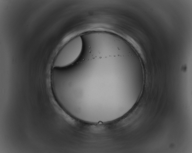 X0000101981384200807180749