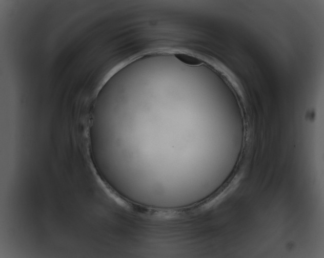 X0000101981385200807180749