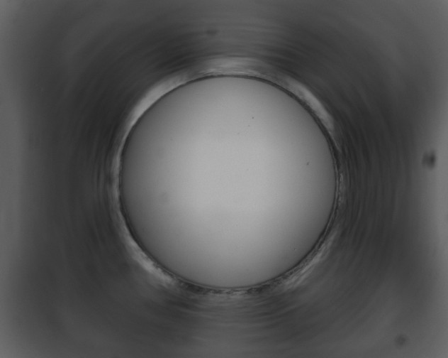 X0000101981386200807180749
