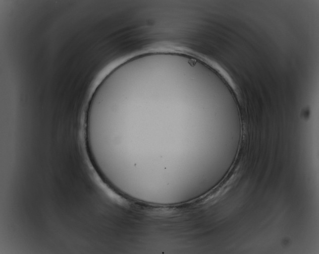 X0000101981387200807180749