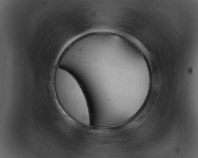 X0000101981388200807180749