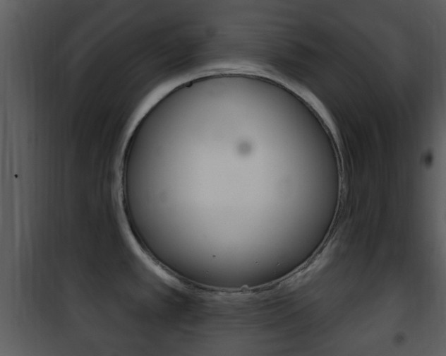 X0000101981389200807180749