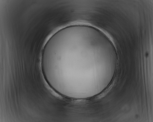 X0000101981390200807180749