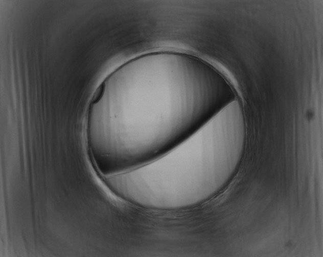 X0000101981391200807180749