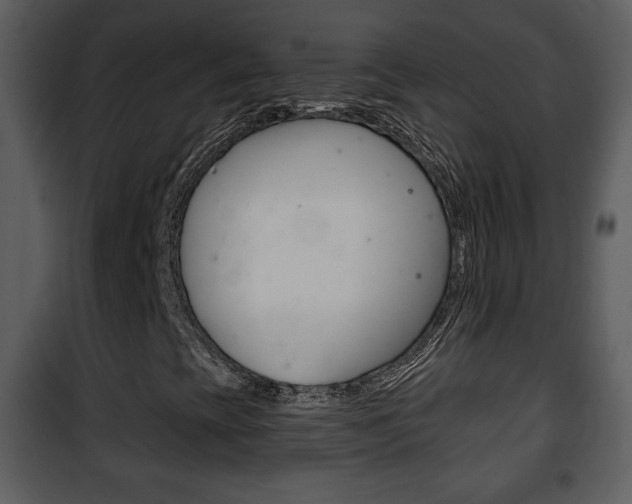 X0000101981393200807180749