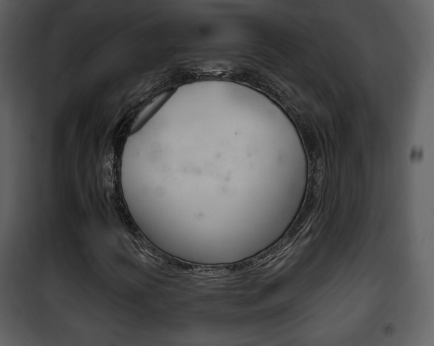 X0000101981394200807180749