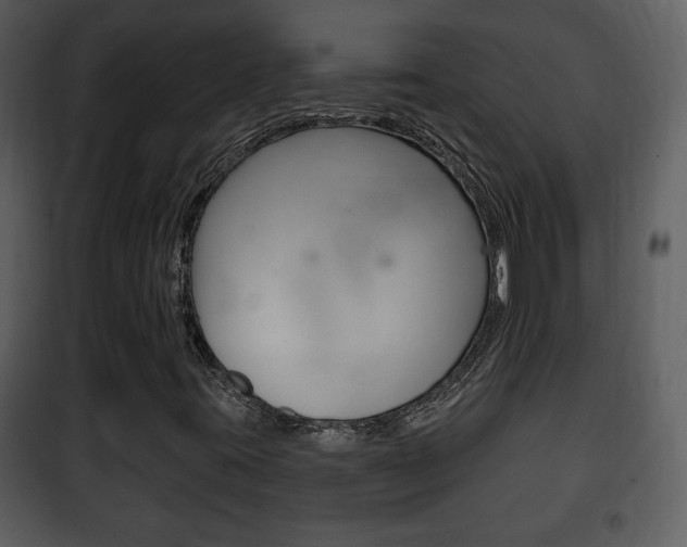 X0000101981395200807180749