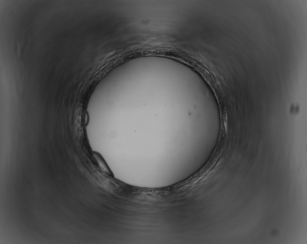 X0000101981396200807180749