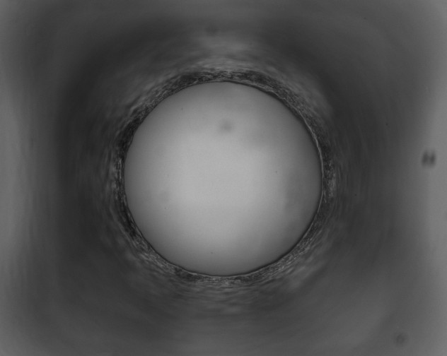 X0000101981397200807180749