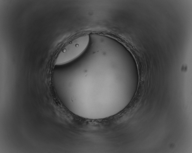 X0000101981398200807180749
