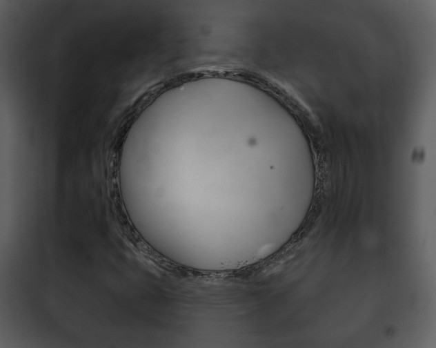 X0000101981399200807180749